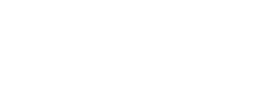 Provix Fenster