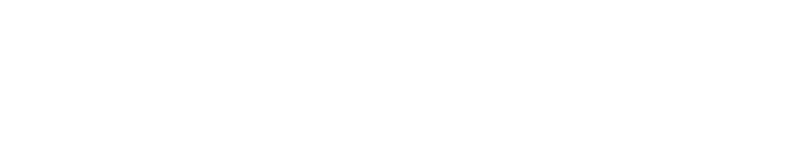 Toelevering Online